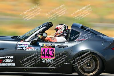media/Sep-07-2024-Extreme Speed (Sat) [[dfc0b31d10]]/Green Group/Session 3-Turn 14/